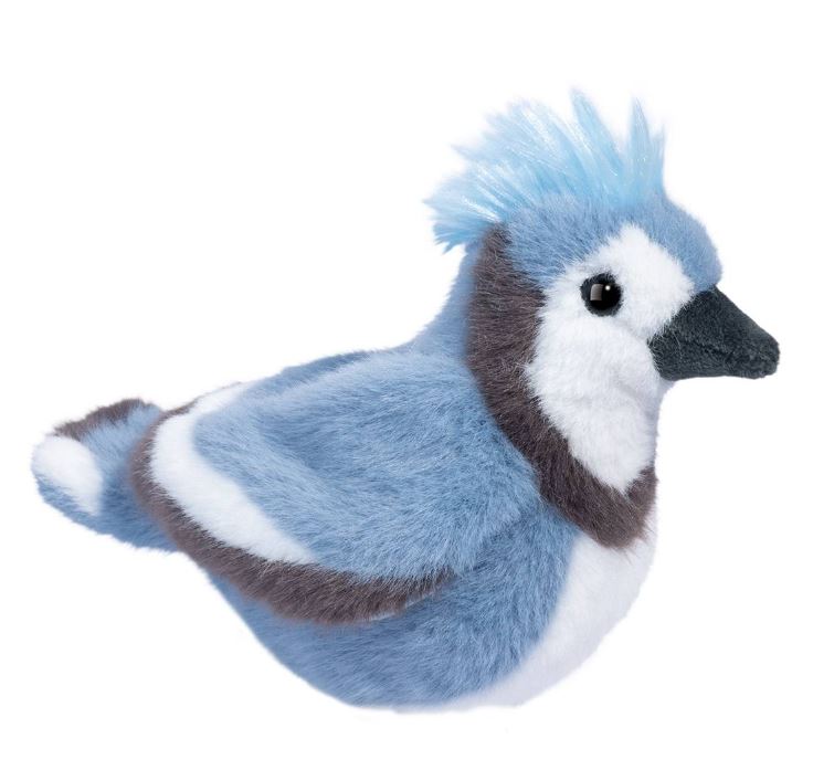 Peluche | Toutou Geai bleu