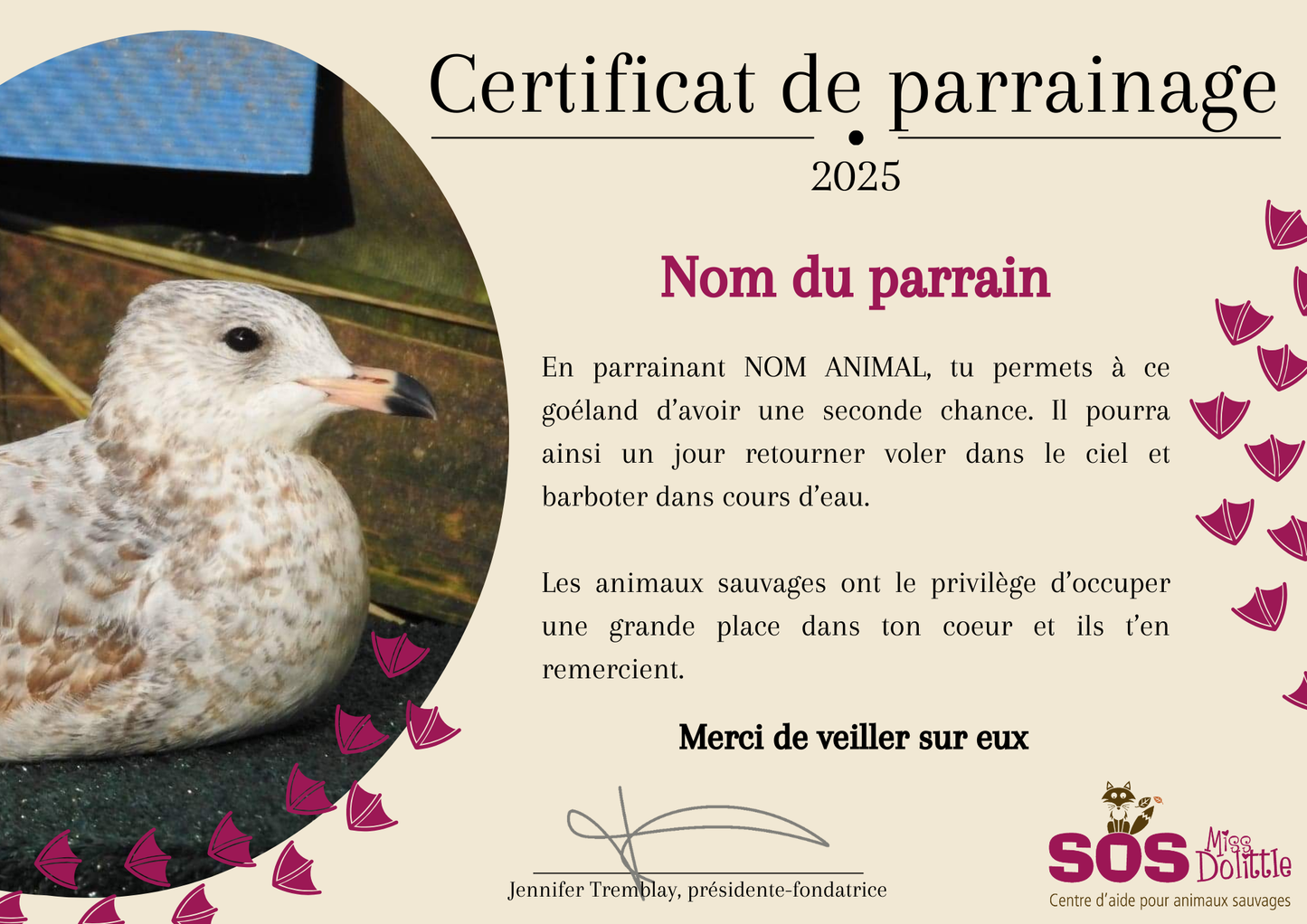 Je parraine un goéland