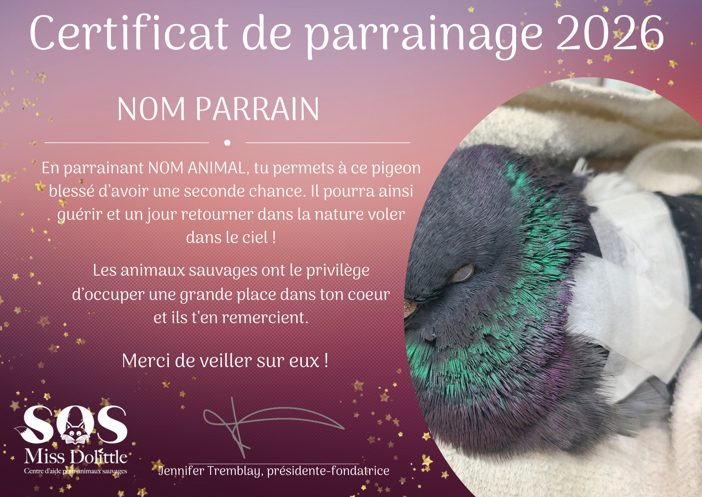 Je parraine un pigeon