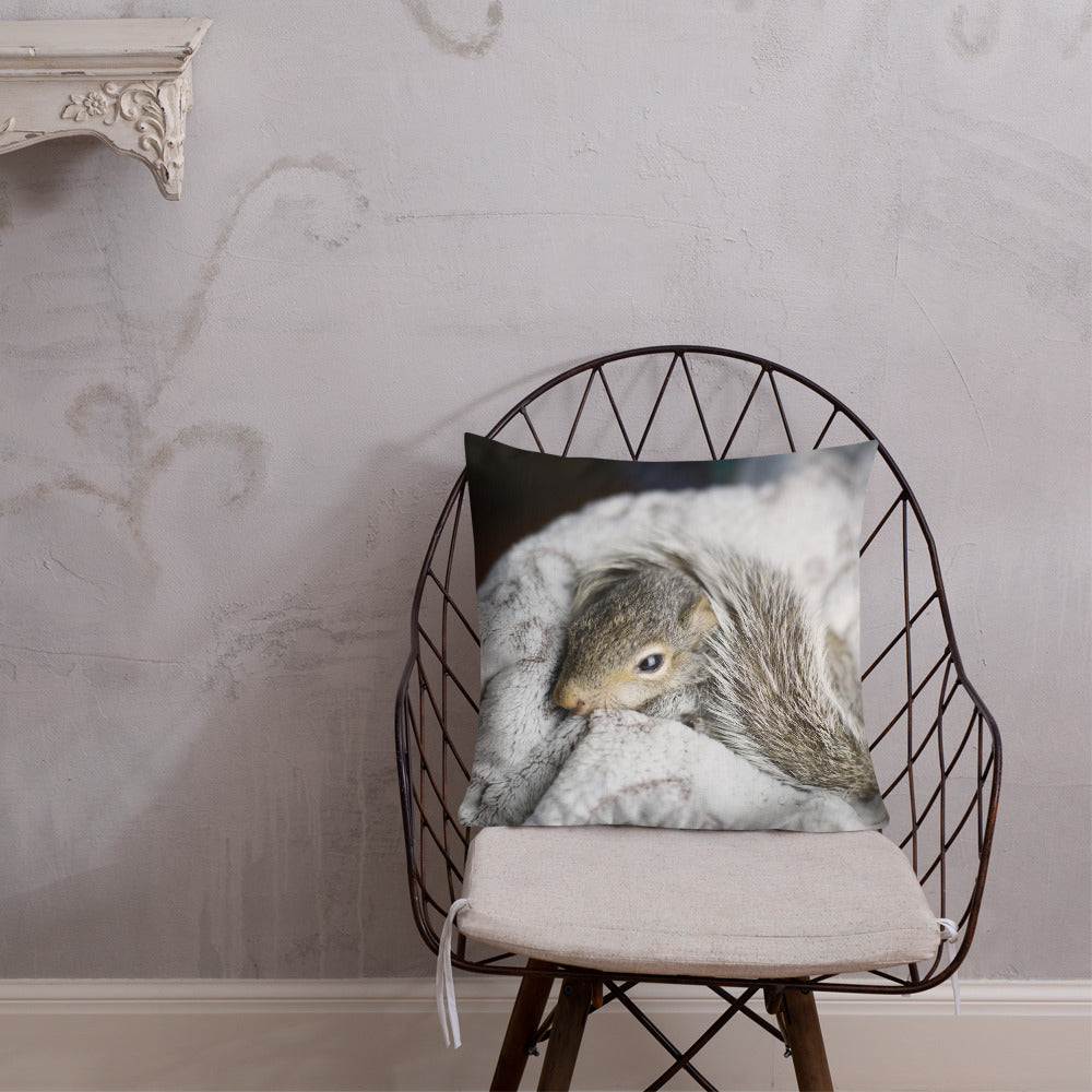 Coussin haut de gamme - Écureuil