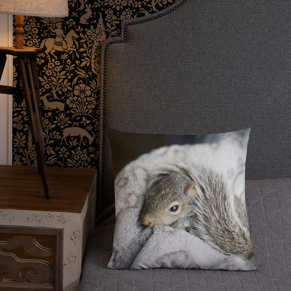 Coussin haut de gamme - Écureuil