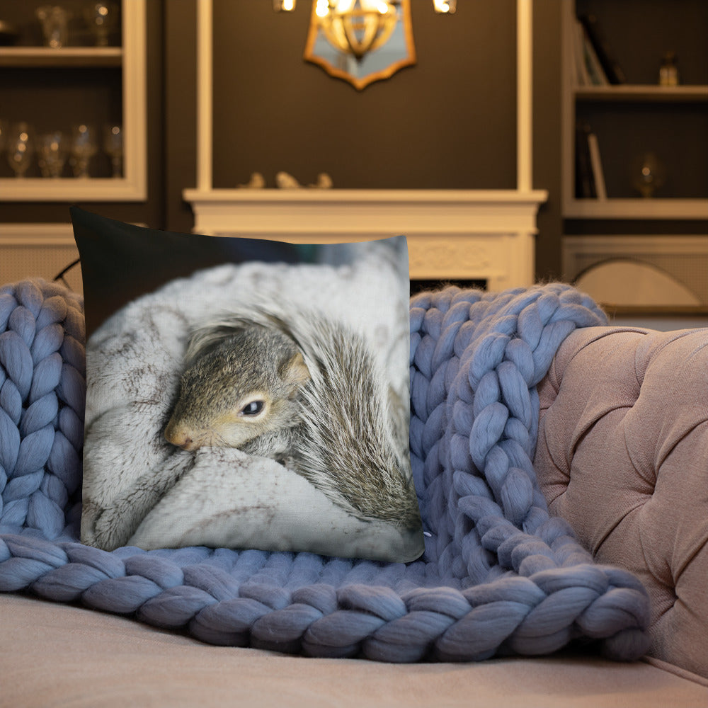 Coussin haut de gamme - Écureuil