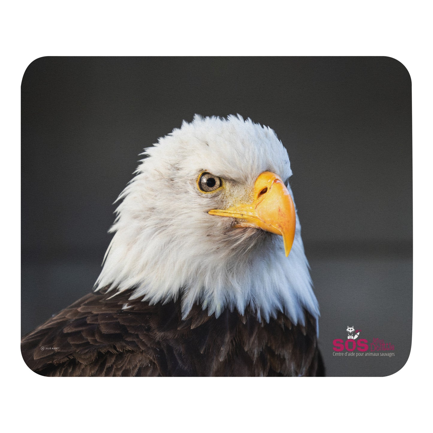 Tapis de souris Pygargue