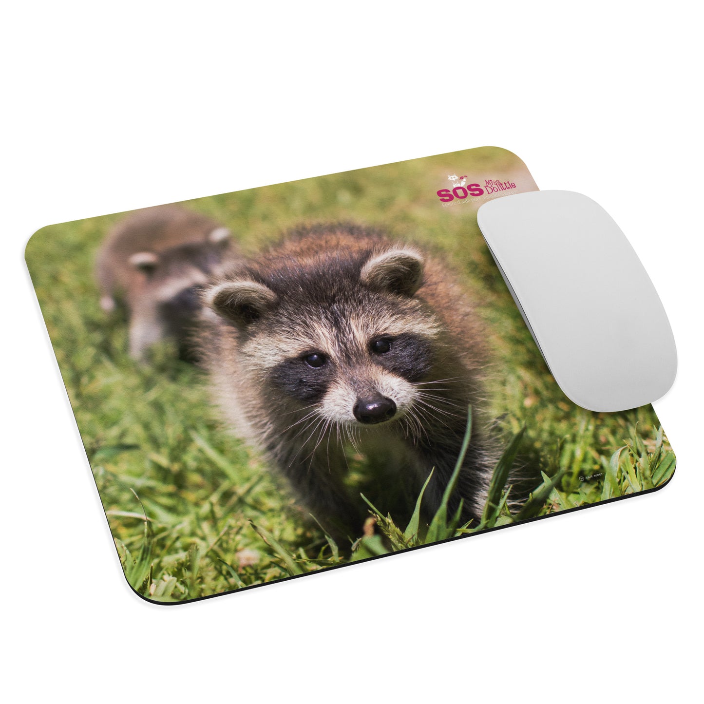 Tapis de souris Raton laveur