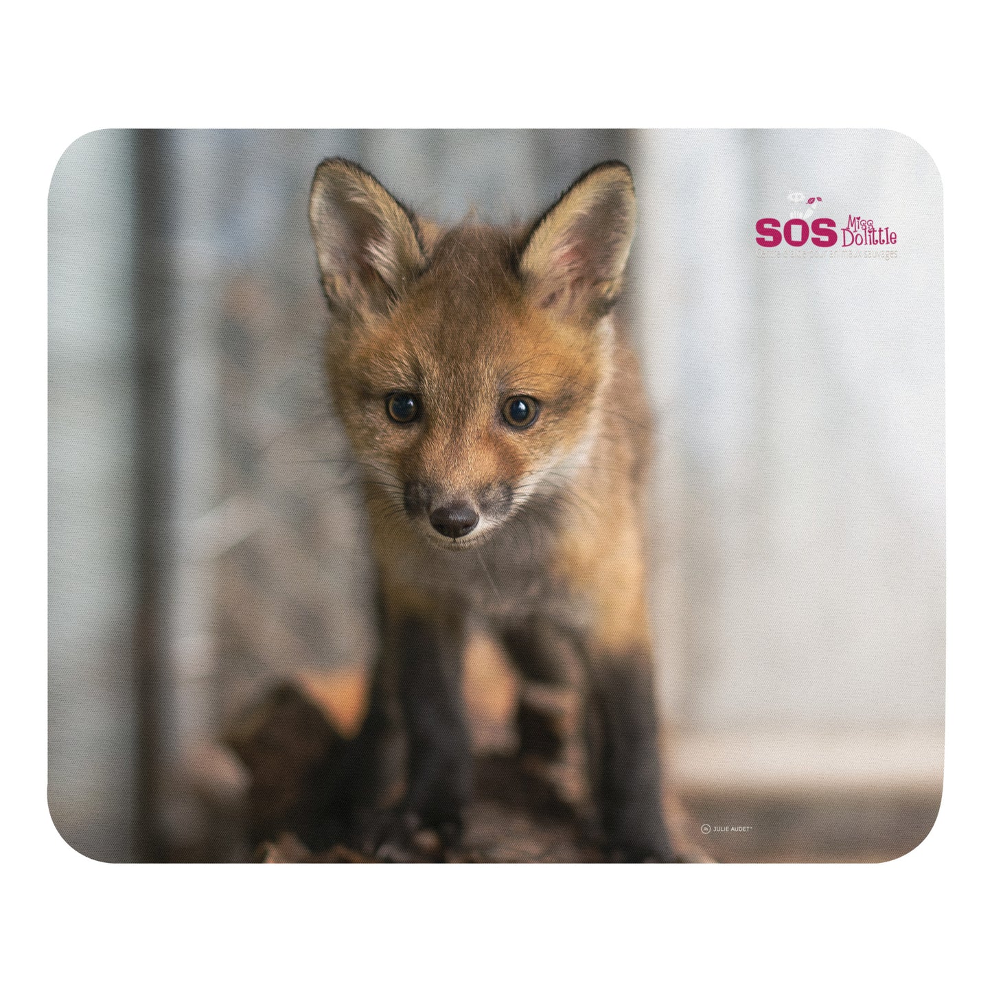 Tapis de souris Renard