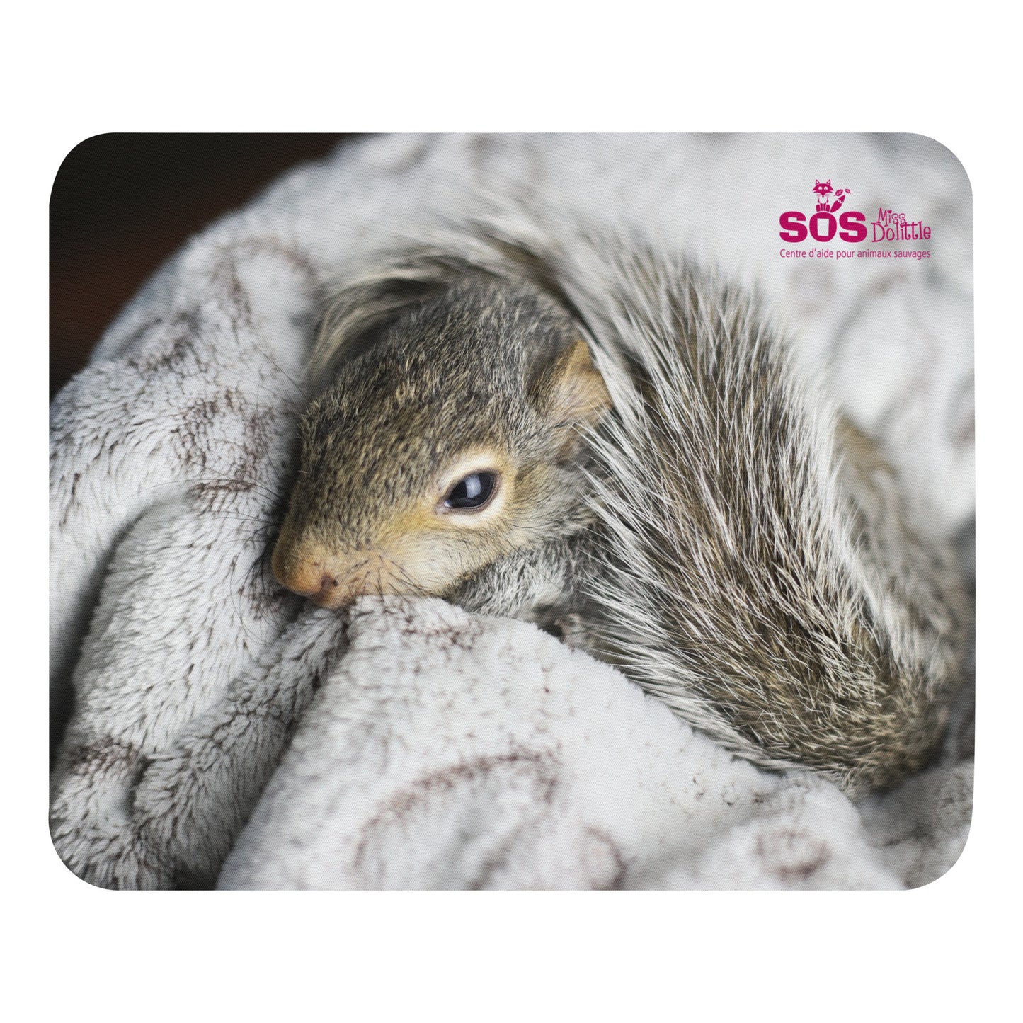 Tapis de souris Écureuil