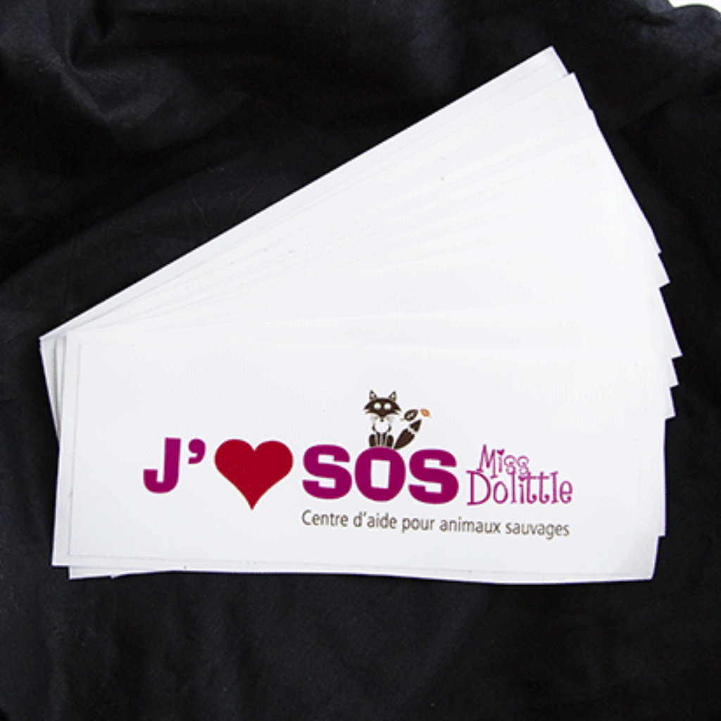 Autocollant SOS Miss Dolittle