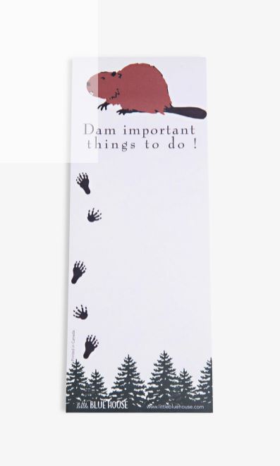 Bloc-notes aimanté « Dam Important Things to Do! »