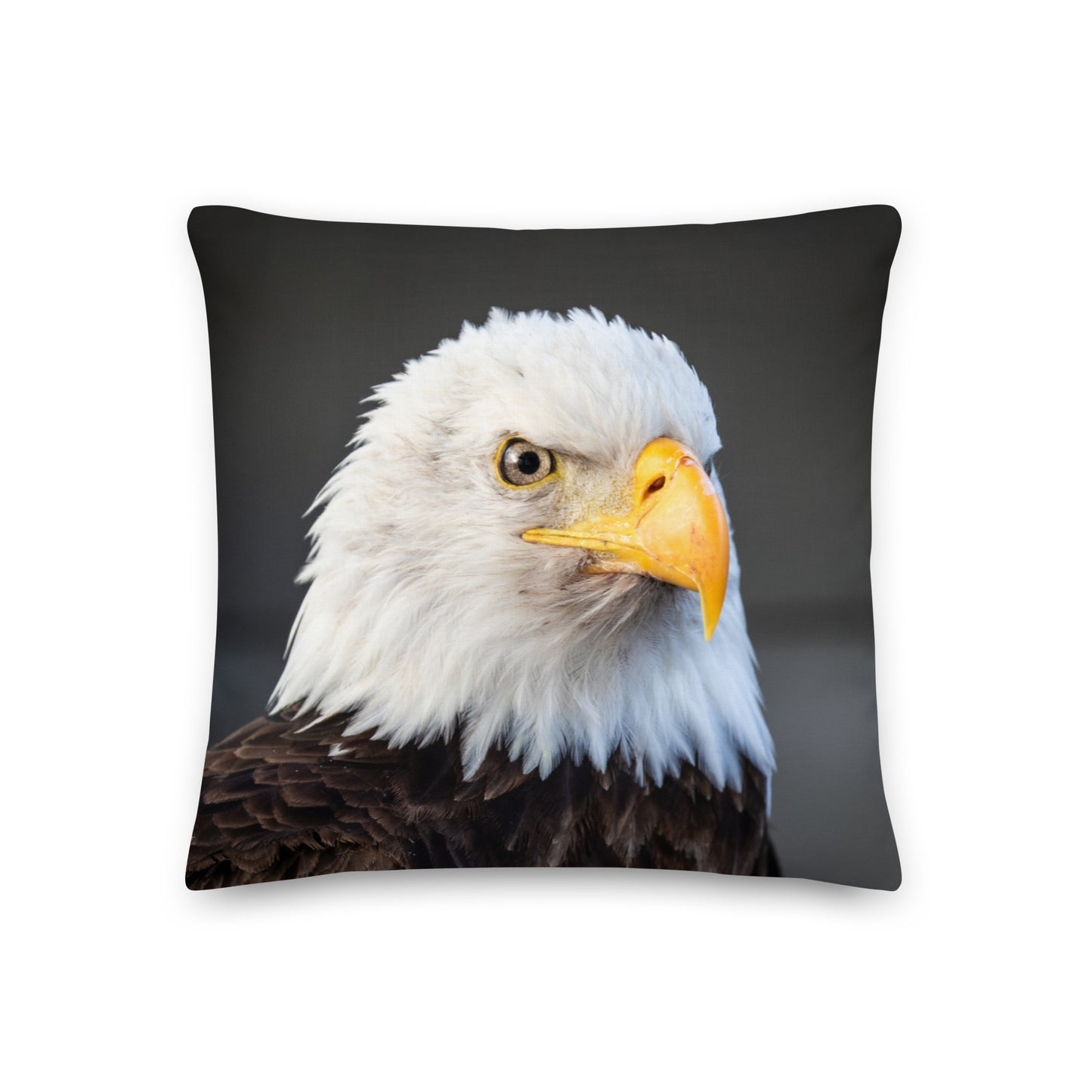 Coussin haut de gamme - Pygargue