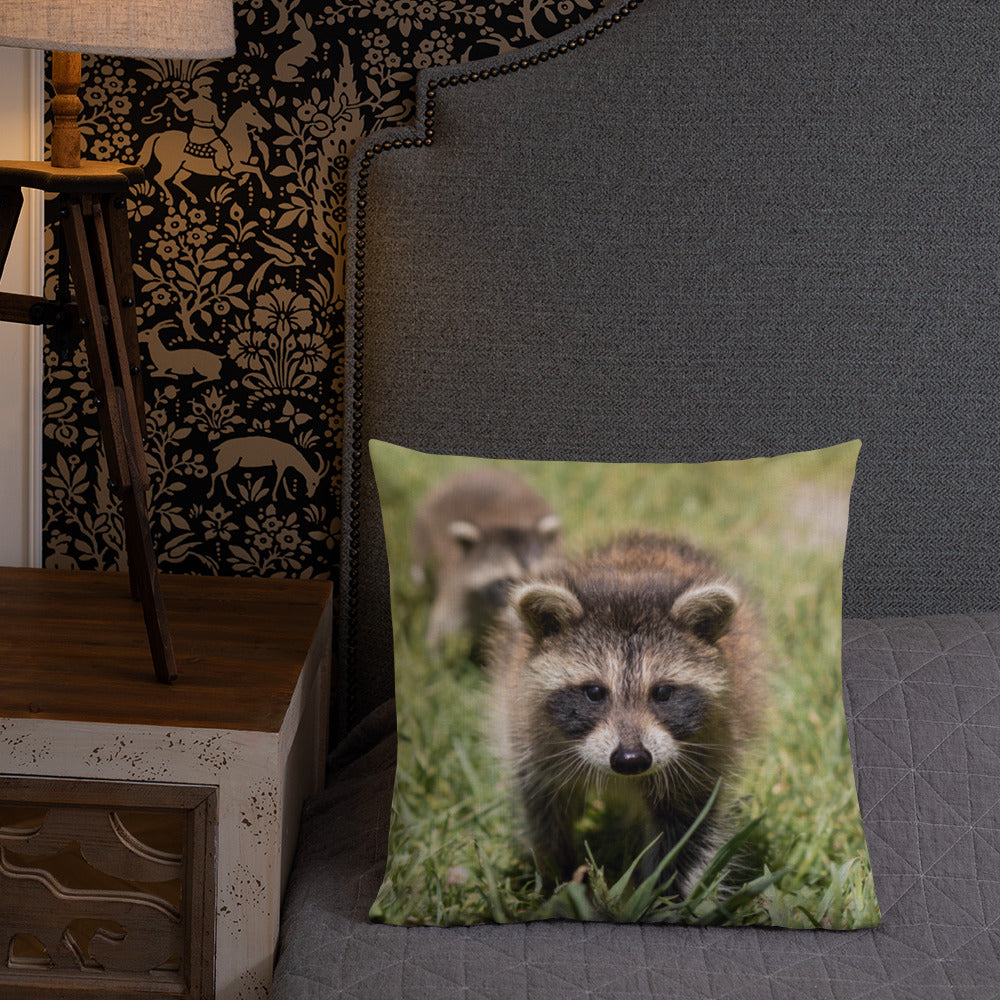 Coussin haut de gamme - Raton laveur
