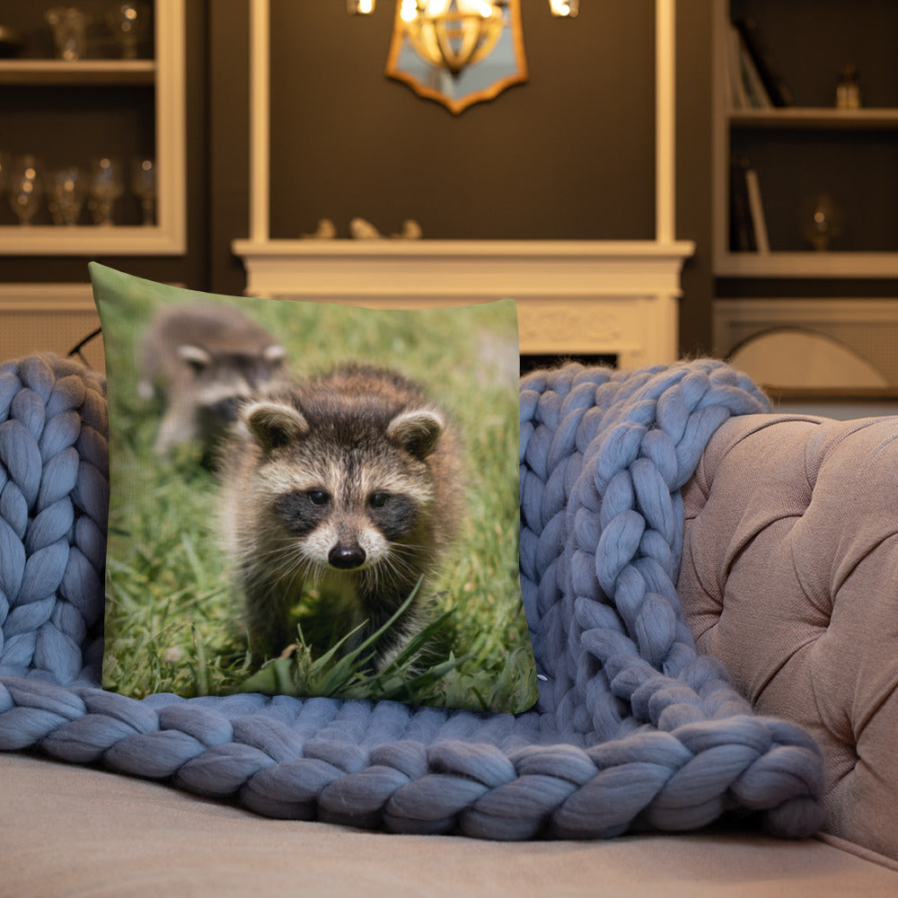 Coussin haut de gamme - Raton laveur