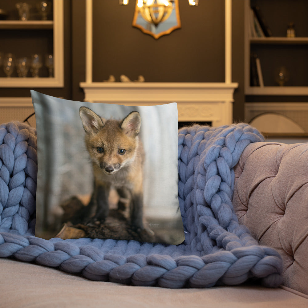Coussin haut de gamme - Renard