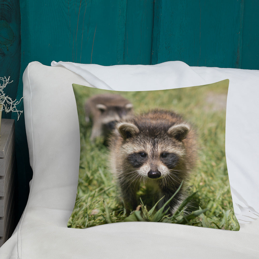 Coussin haut de gamme - Raton laveur