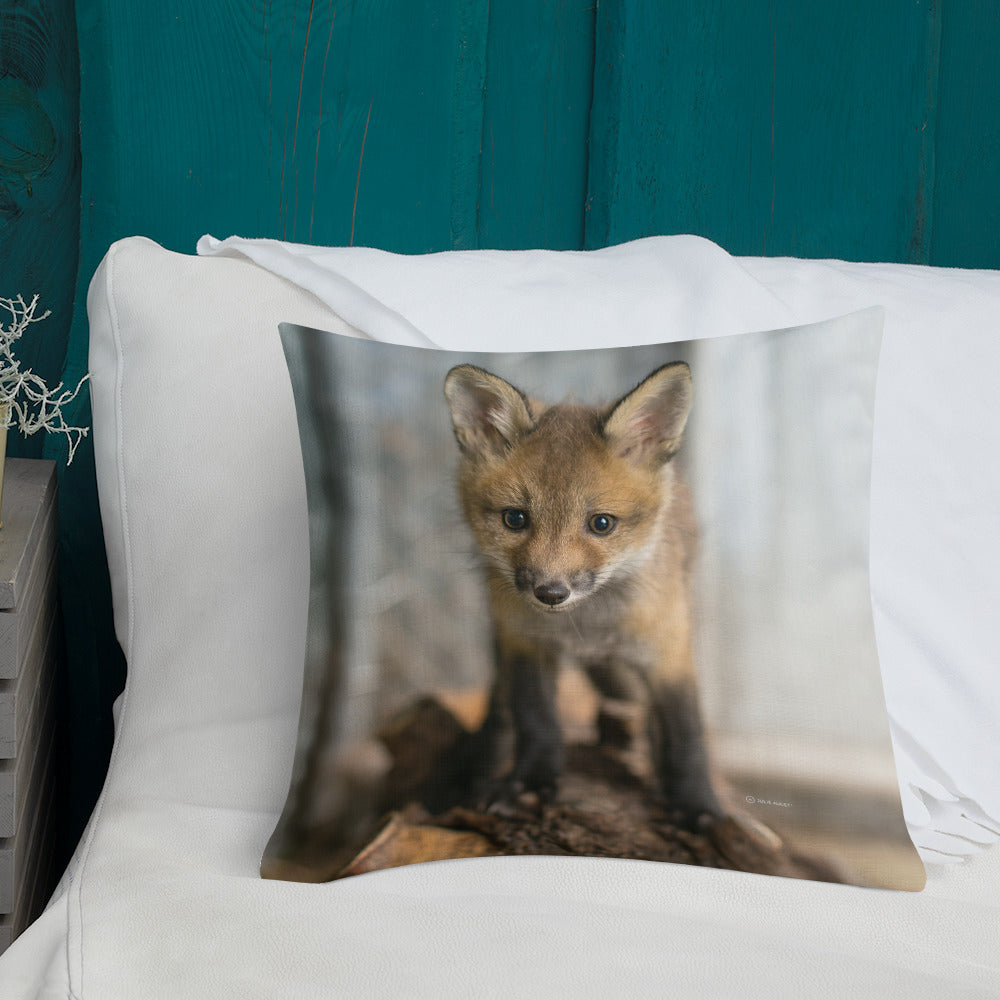 Coussin haut de gamme - Renard