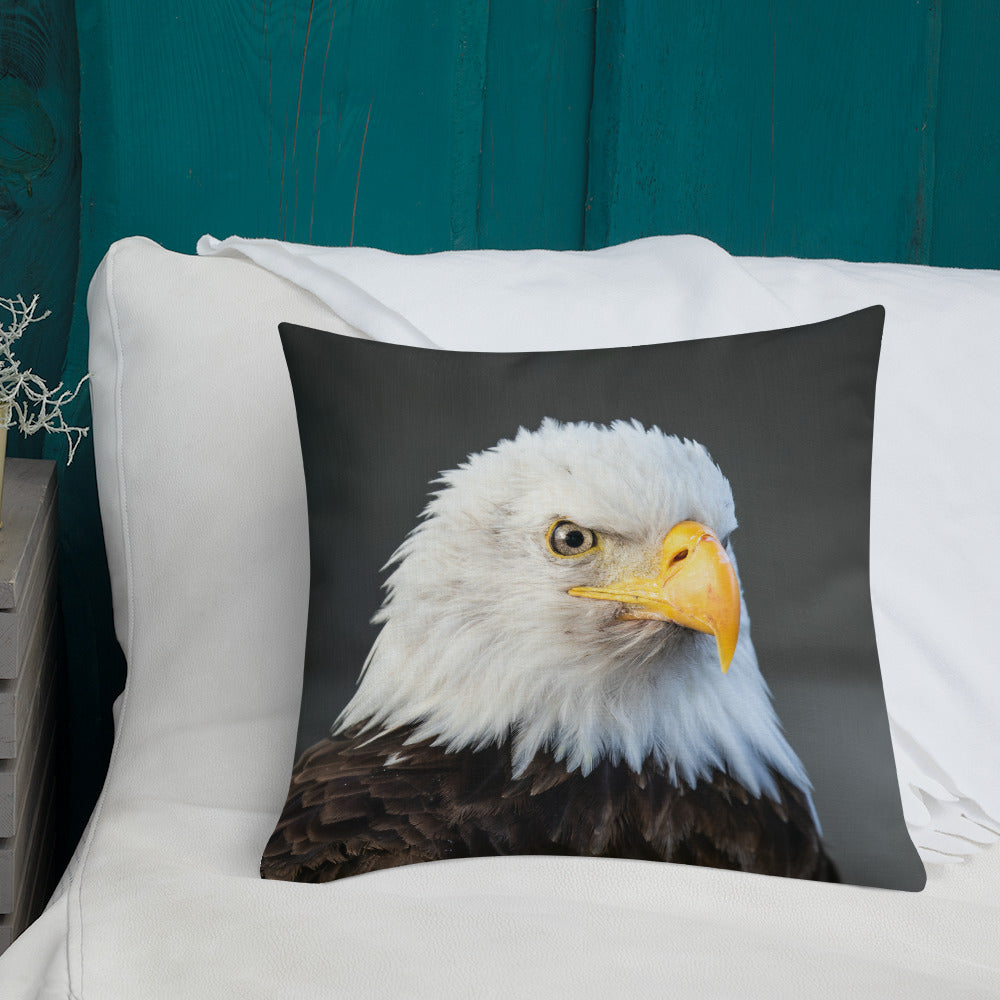 Coussin haut de gamme - Pygargue
