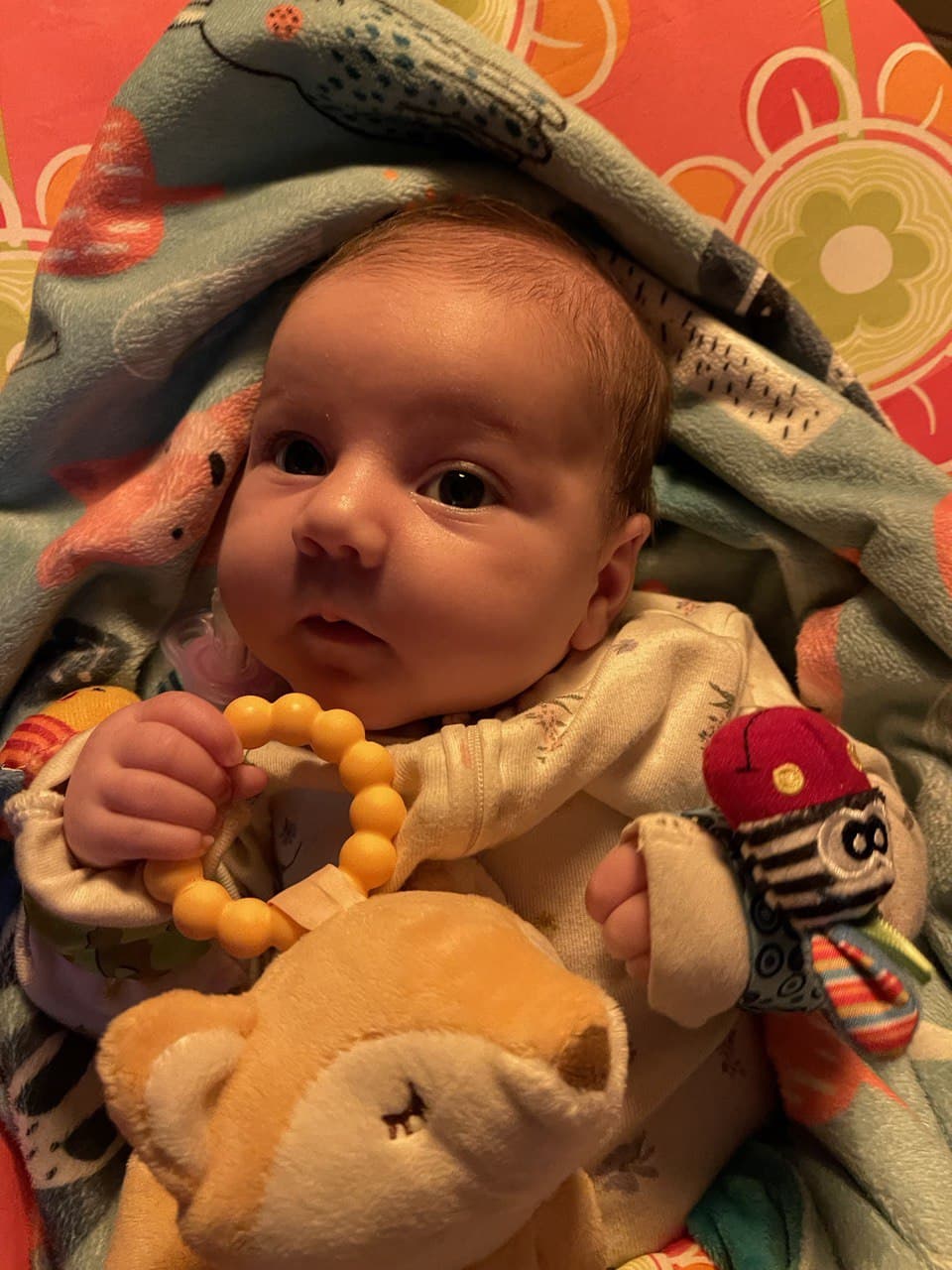 Peluche | Toutou Renard pour les dents de bébé