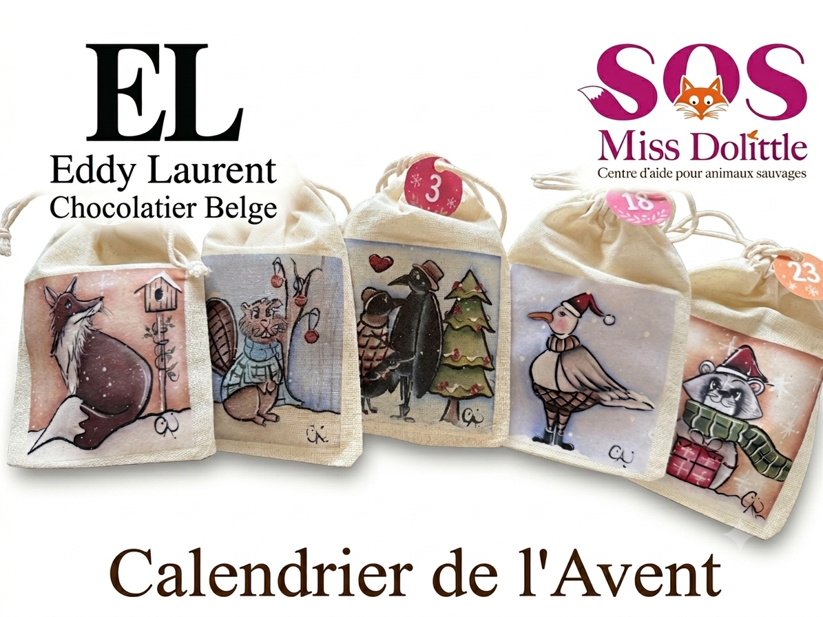 Calendrier de l'Avent