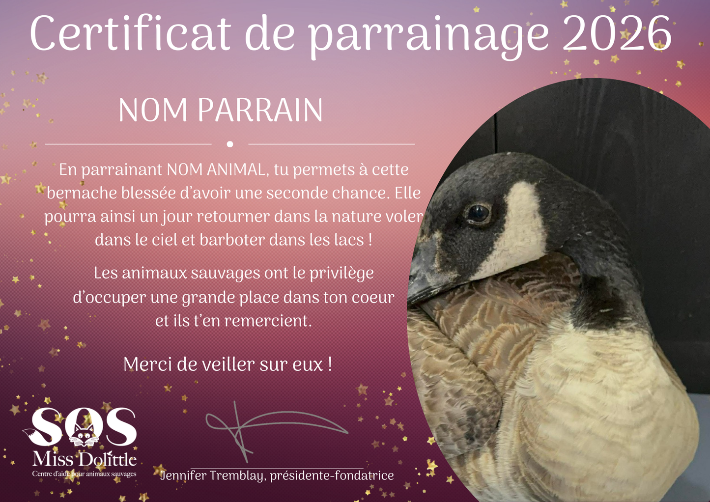 I am sponsoring a goose / barnacle goose