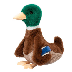 Peluche | Toutou Canard colvert