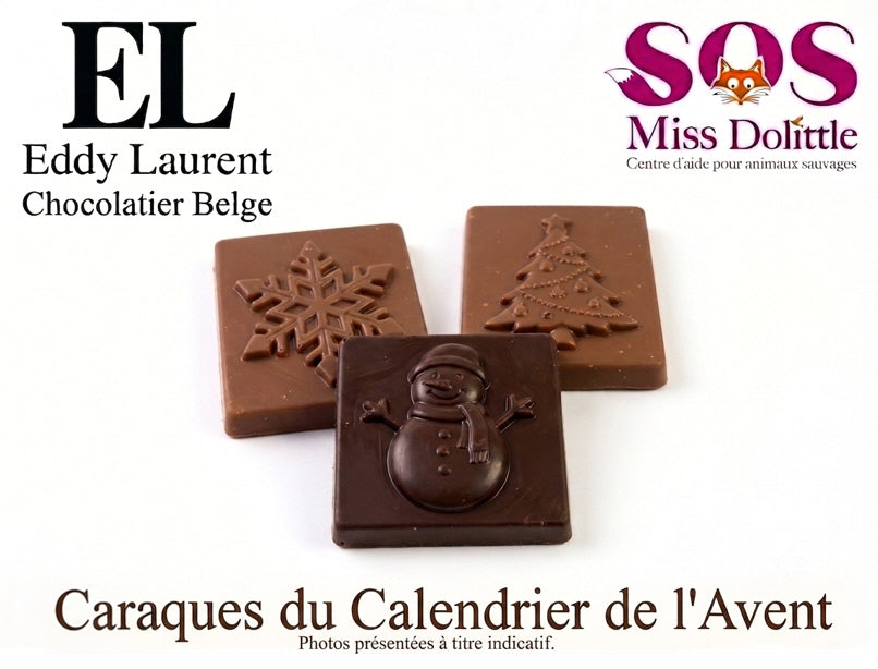 Calendrier de l'Avent