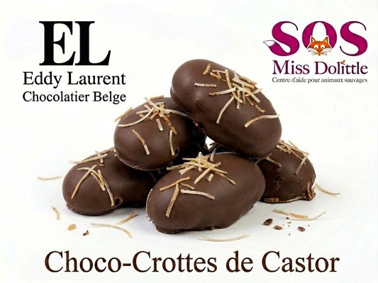 Choco-crottes - Castor