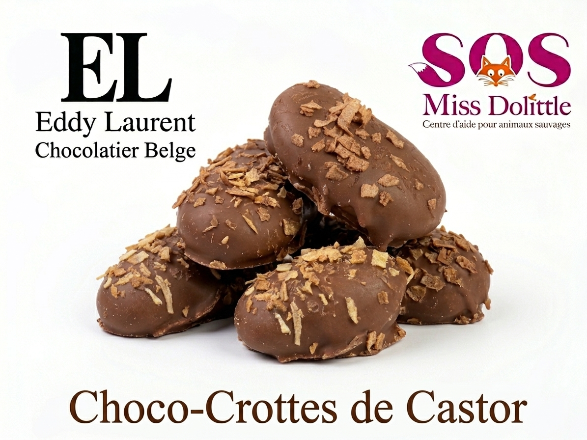 Choco-crottes - Castor