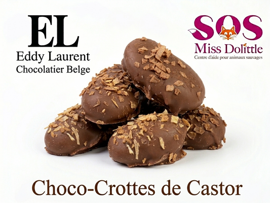 Choco-crottes - Castor