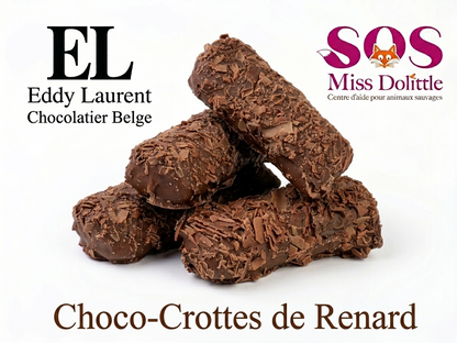 Choco-crottes - Renard