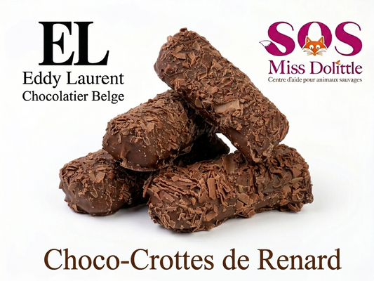 Choco-crottes - Renard
