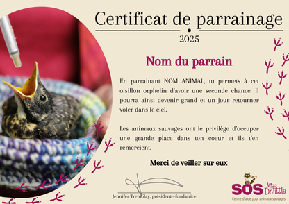 Je parraine un oisillon