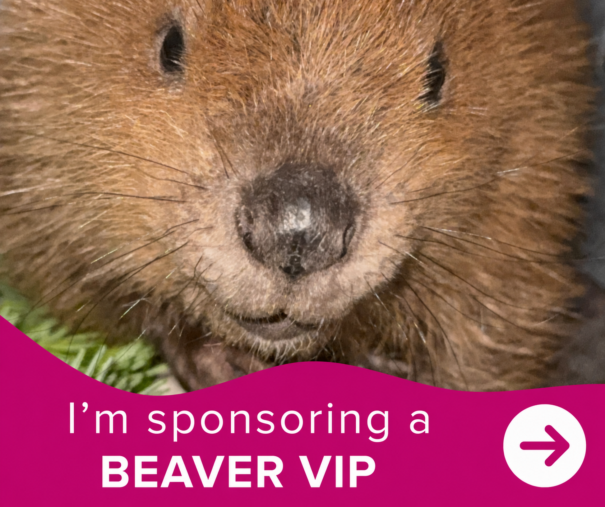 #en