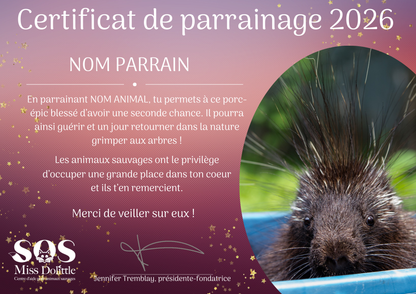I'm sponsoring a porcupine