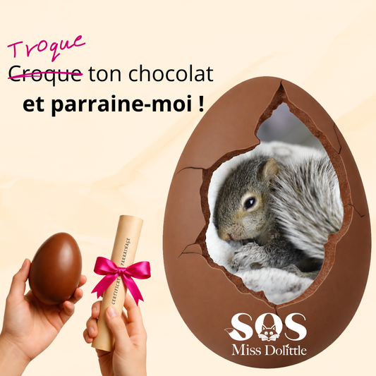 Je parraine un bébé écureuil - Troque ton chocolat