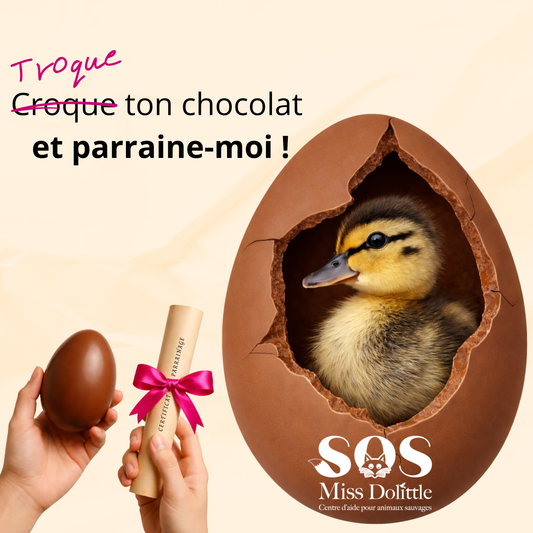 Je parraine un caneton - Troque ton chocolat