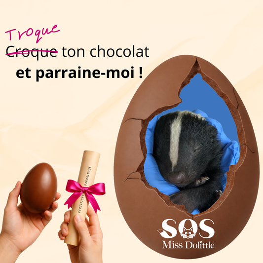 Je parraine un bébé moufette - Troque ton chocolat