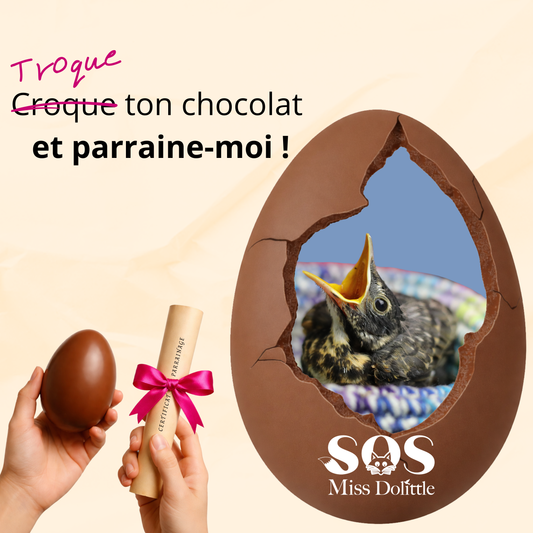 Je parraine un bébé oiseau - Troque ton chocolat