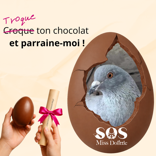 Je parraine un pigeon