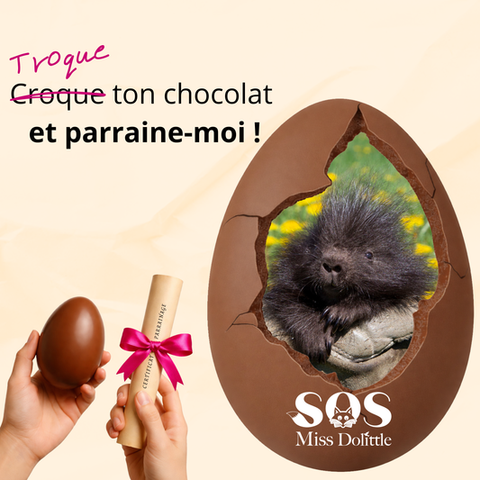 Je parraine un porc-épic