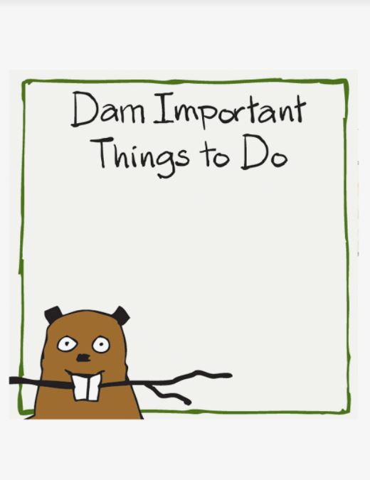 Feuillets de notes autocollants « Dam Important Things to Do »
