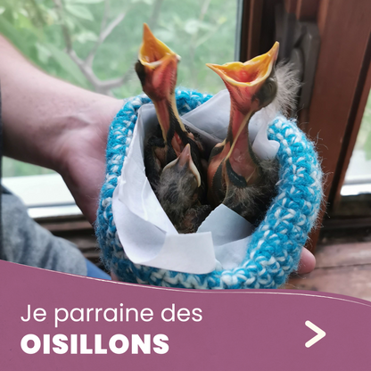 Je parraine un oisillon
